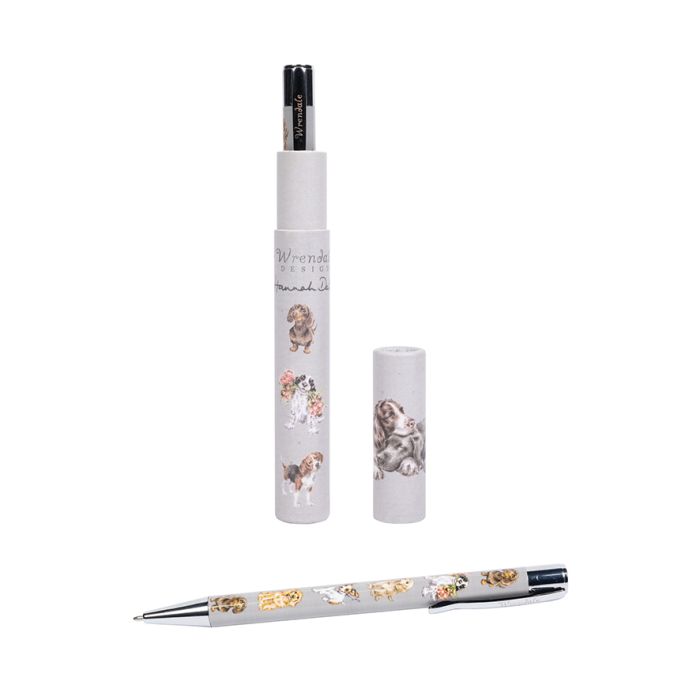 Illustrated Pen