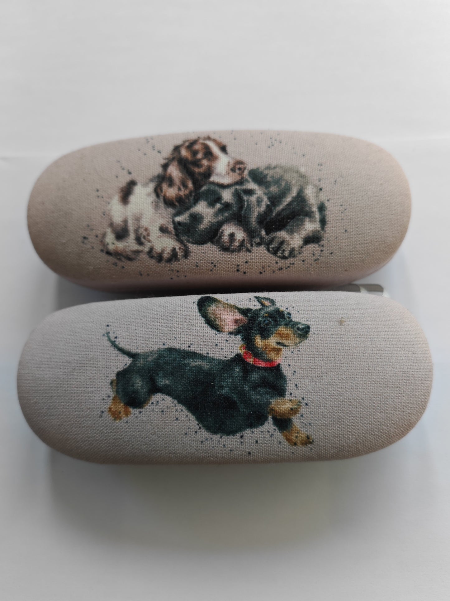 Glasses Case