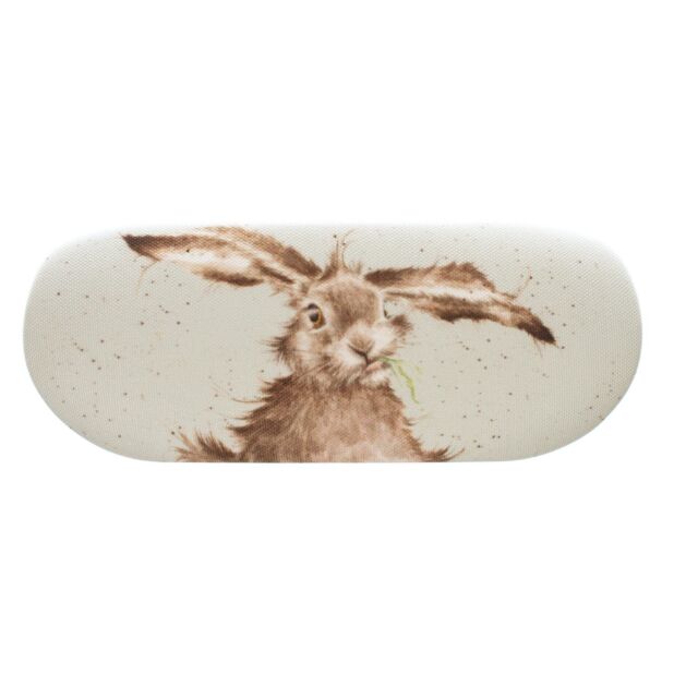 Glasses Case