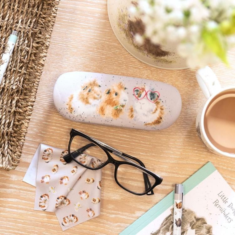 Glasses Case