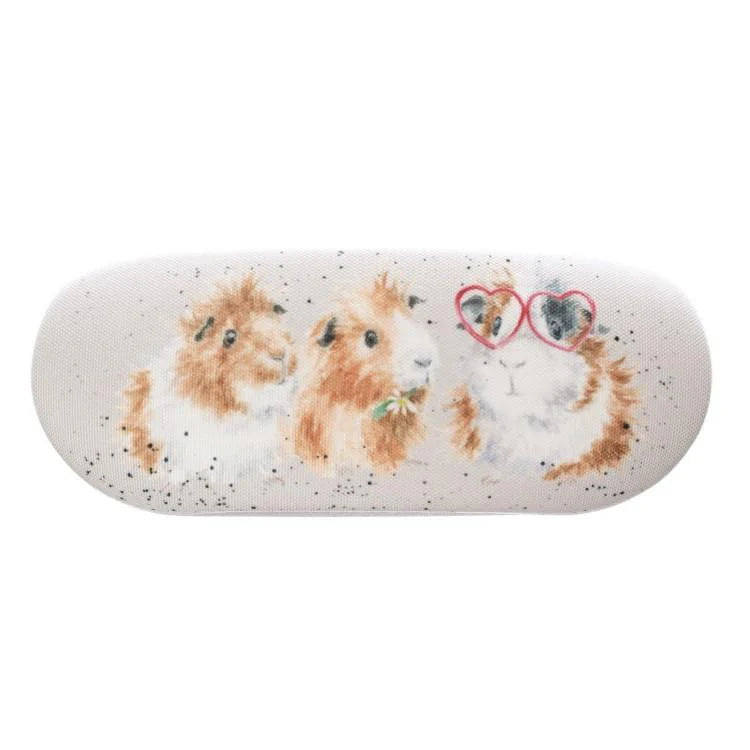 Glasses Case