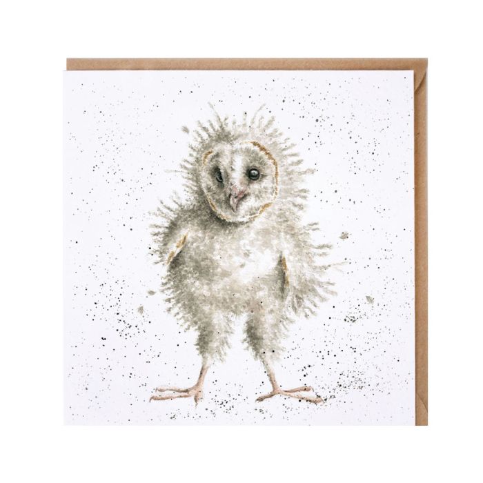 'Ready To Fly' Owl Card