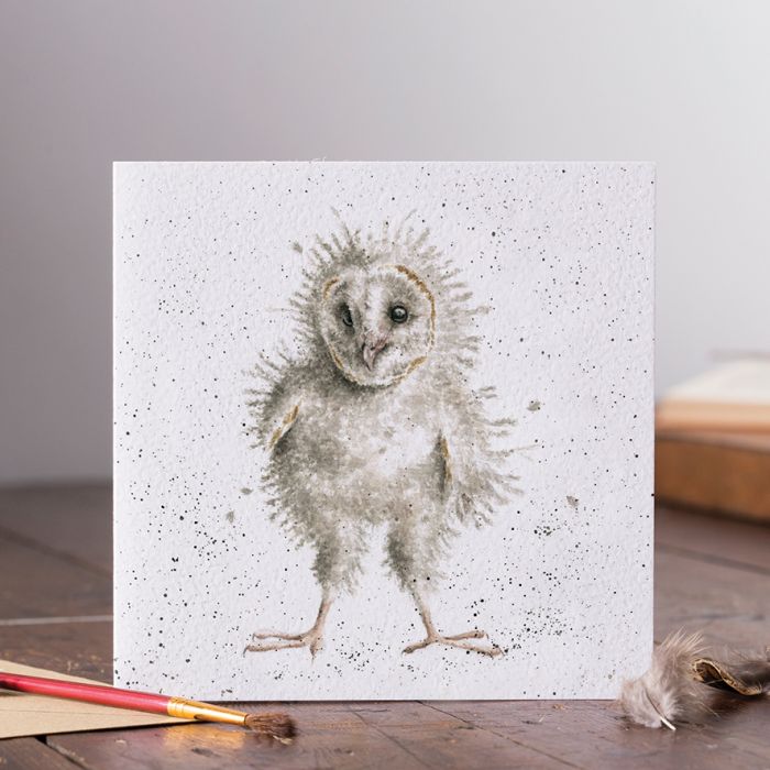 'Ready To Fly' Owl Card