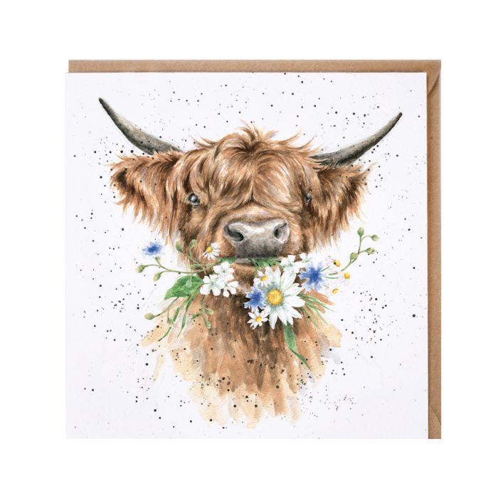 'Daisy Coo' Highland Cow Card