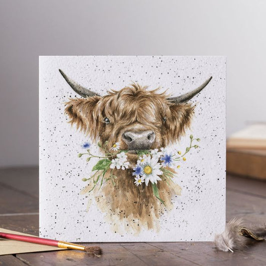 'Daisy Coo' Highland Cow Card