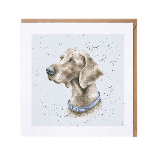 'Casper' Weimaraner card