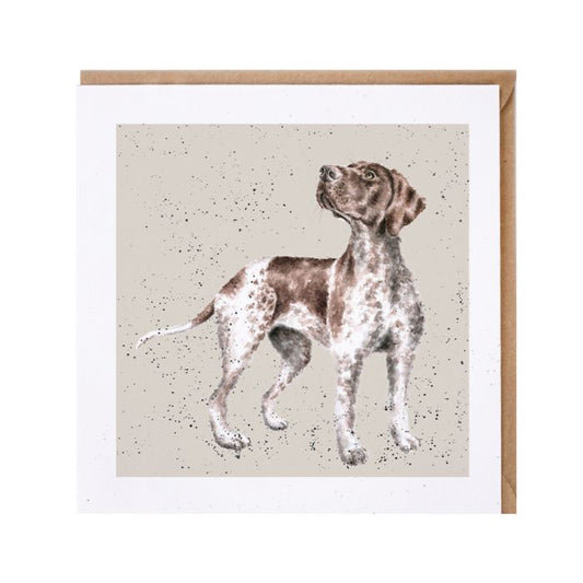 'Fara' German Pointer Card