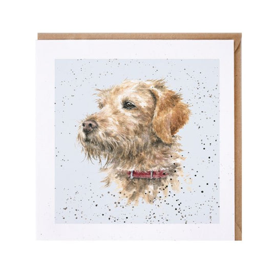 'Chilli' Labradoodle Card