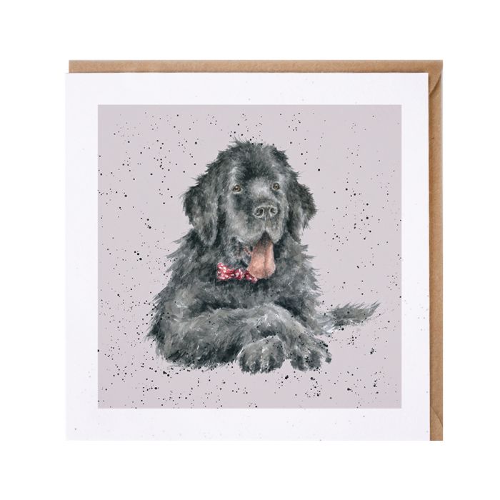 'Dudley' Newfoundland Card