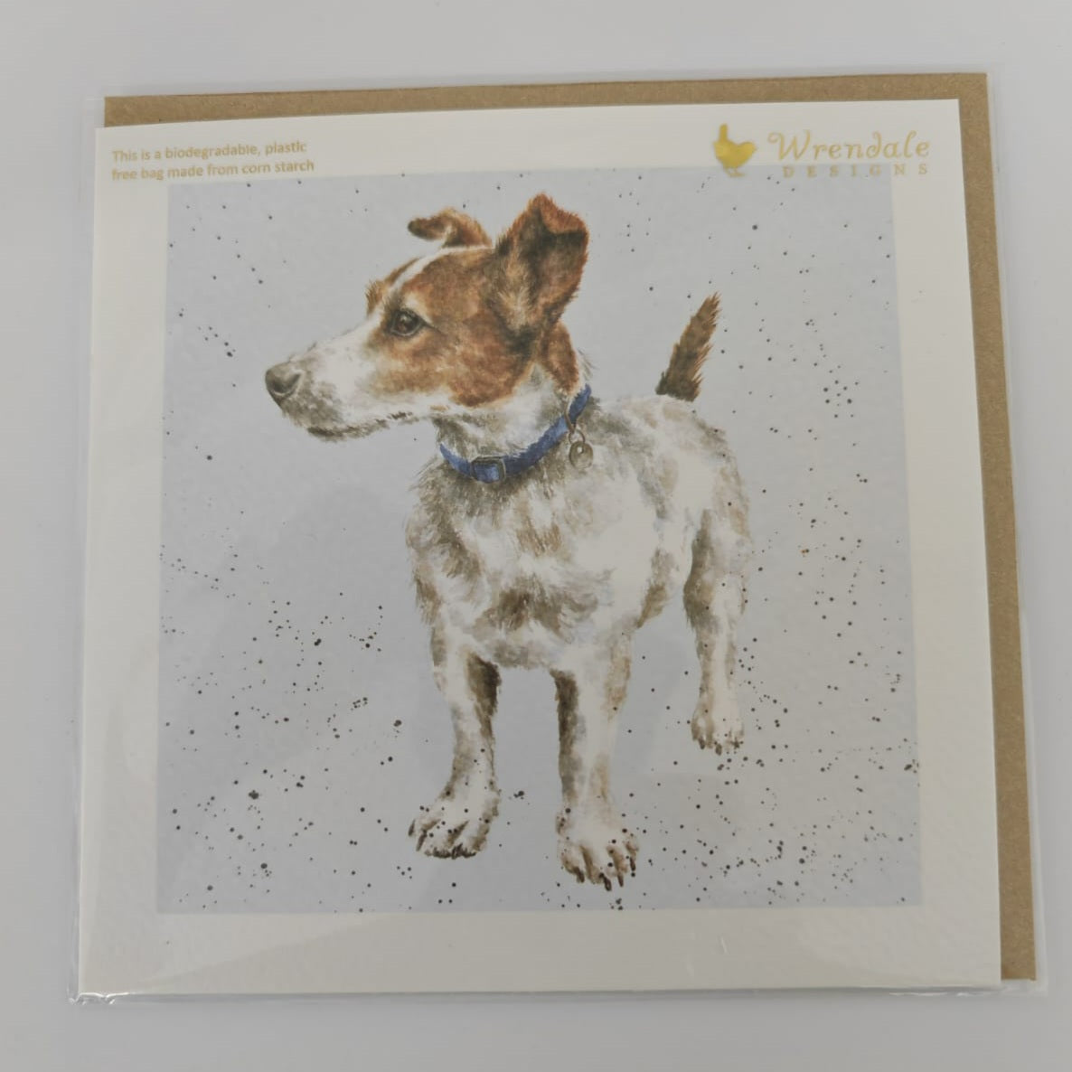 'Monty' Jack Russell card