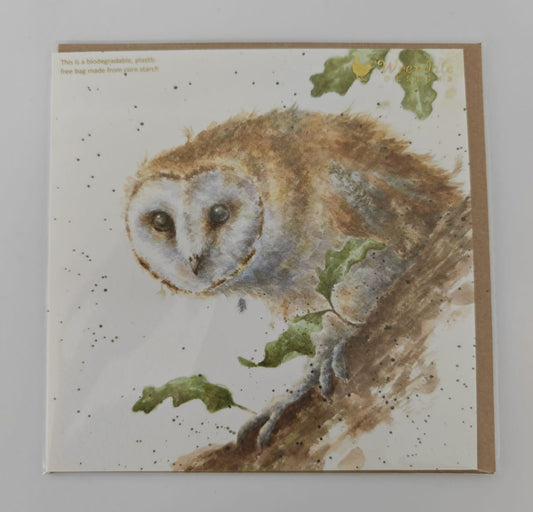 'Moonlight' Owl Card