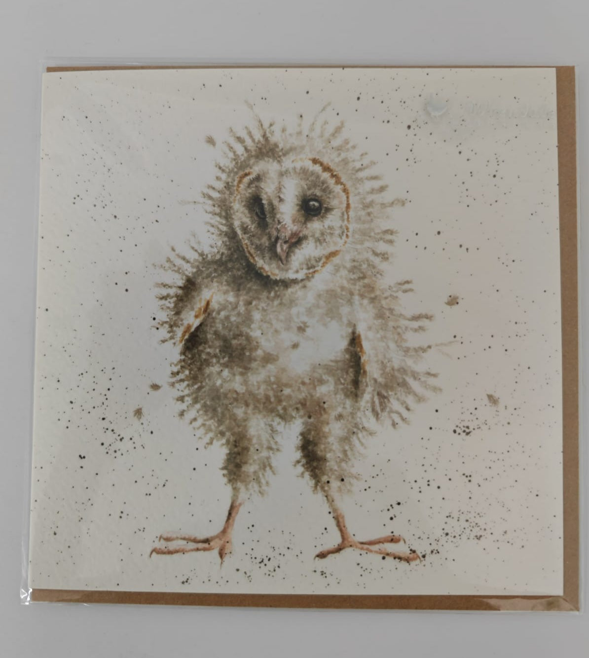 'Ready To Fly' Owl Card