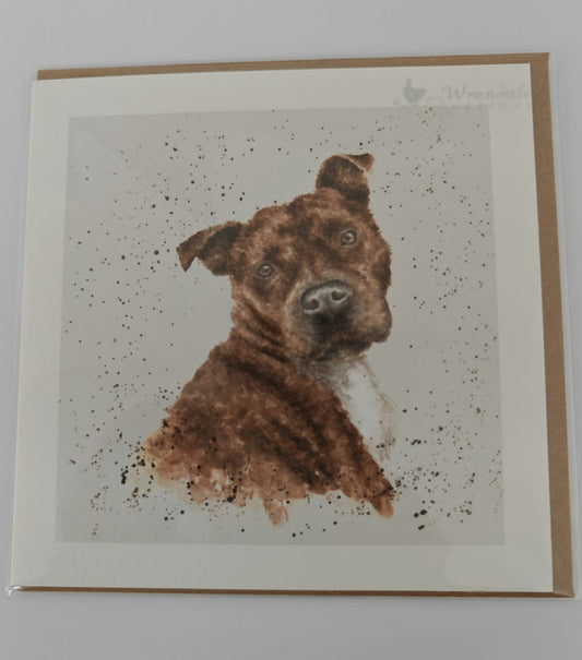 'Scrumpy' Staffordshire Terrier Card