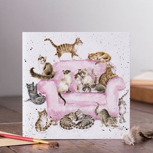 'Cattitude' Cat Card