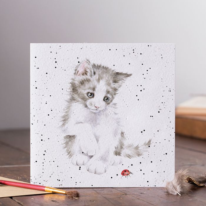 'Ladybird' Cat Card