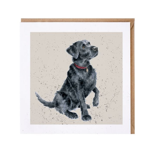 'Jack' Labrador Card