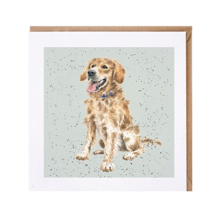 'Alfie' Golden Retriever Card