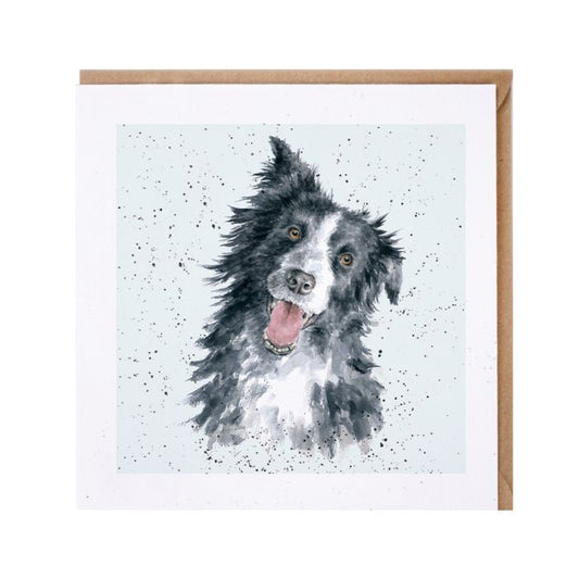 'Jess' Border Collie Card