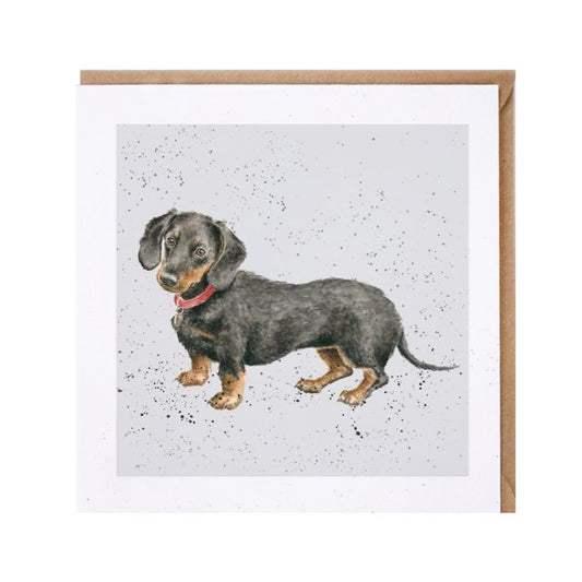 'Hugo' Dachshund Card