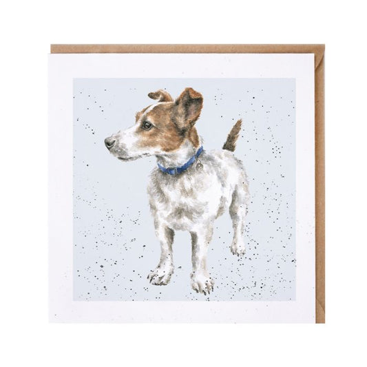 'Monty' Jack Russell card