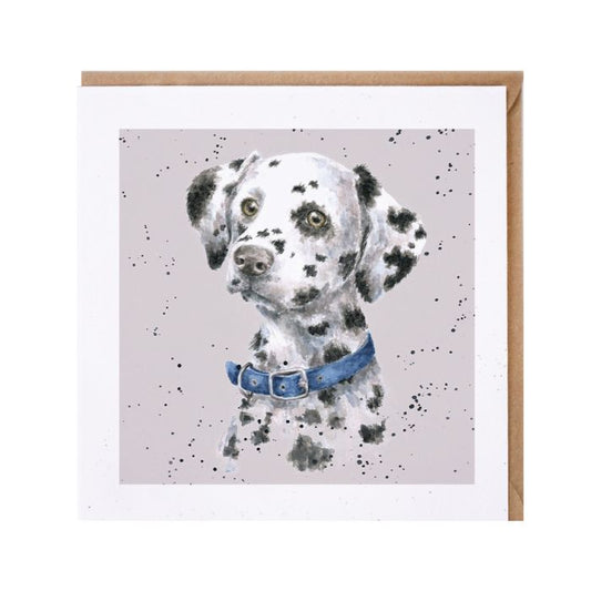 'Harvey' Dalmatian Card